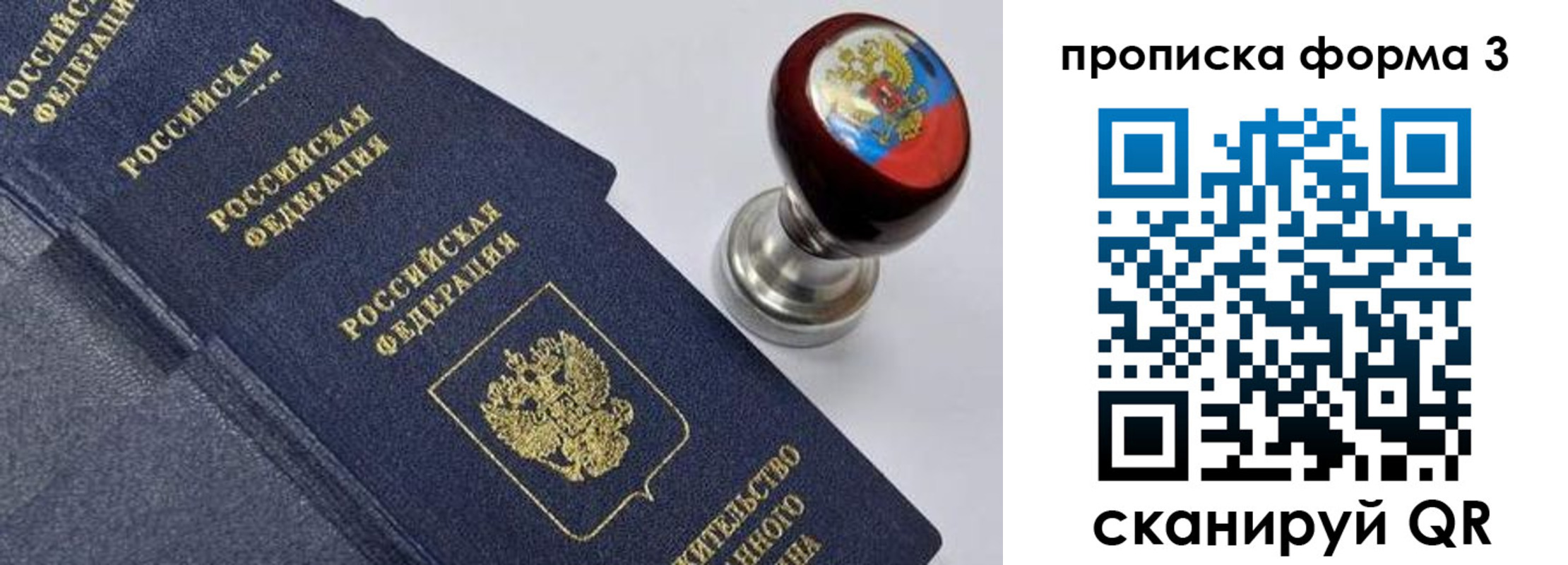 прописка 2025 в Елизово